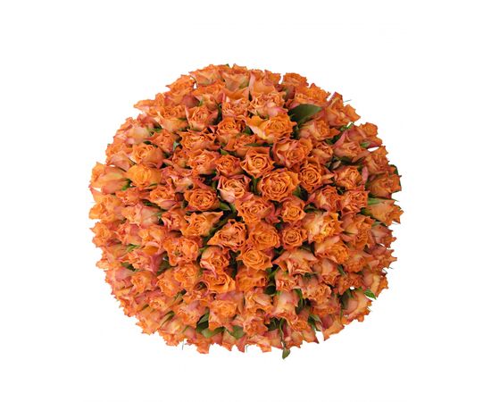 Букет з помаранчевих троянд 101шт., Модель: 0 | Доставка квітів Шарм24