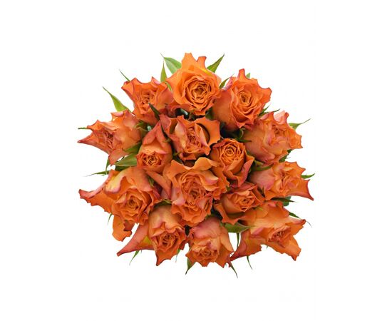 Букет з помаранчевих троянд 15шт., Модель: 0 | Доставка квітів Шарм24