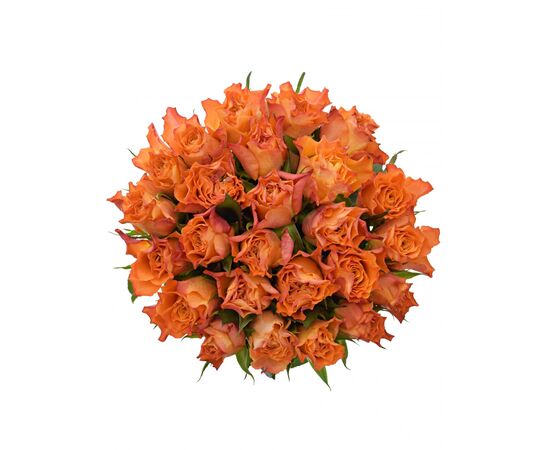 Букет з помаранчевых троянд 25шт., Модель: 0 | Доставка квітів Шарм24