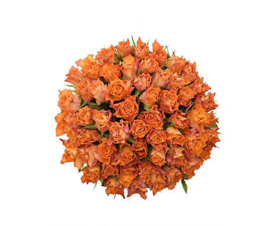 Букет з помаранчевих троянд 55шт., Модель: 0 | Доставка квітів Шарм24