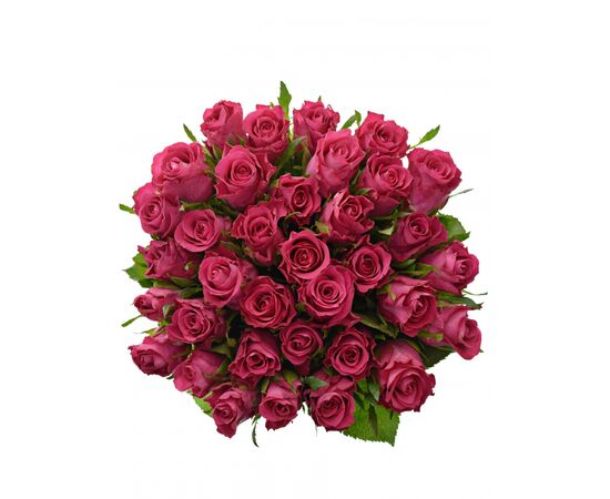 Букет из розовых роз 25шт., Модель: 0 | Доставка цветов Шарм24