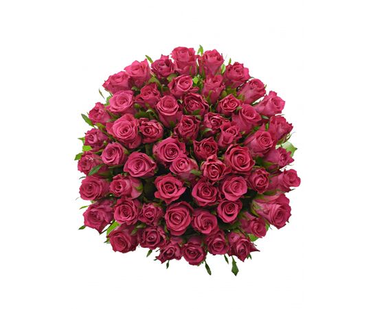 Букет из розовых роз 55шт., Модель: 0 | Доставка цветов Шарм24