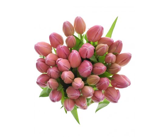 Букет з рожевих тюльпанів 35 шт, Модель: 0 | Доставка квітів Шарм24