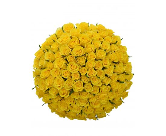 Букет из желтых роз 101шт., Модель: 0 | Доставка цветов Шарм24