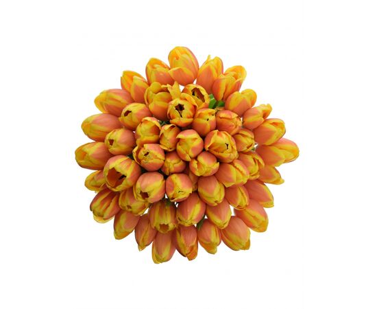 Букет з помаранчевых тюльпанів 55 шт, Модель: 0 | Доставка квітів Шарм24