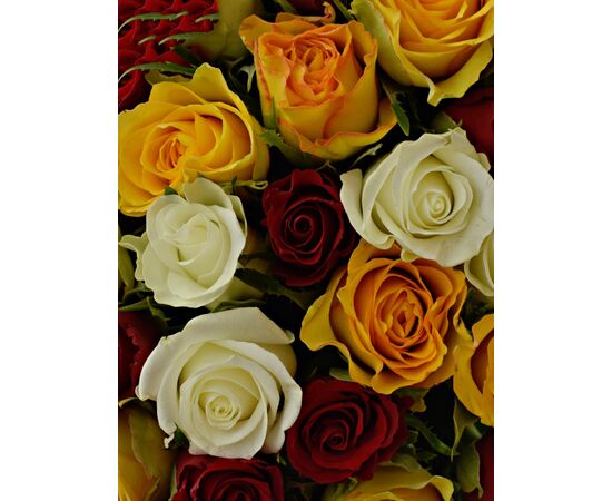 Роза Mix L70, Модель: 0, зображення 3 | Доставка квітів Шарм24