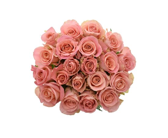 Роза Gr Hermosa L70, Модель: 0, фото 2 | Доставка цветов Шарм24