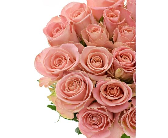 Роза Gr Hermosa L70, Модель: 0, фото 3 | Доставка цветов Шарм24