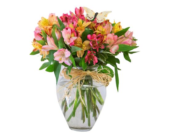 Альстромерія мікс, Модель: 0, зображення 3 | Доставка квітів Шарм24
