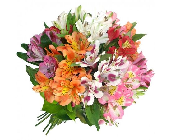 Альстромерія мікс, Модель: 0, зображення 4 | Доставка квітів Шарм24