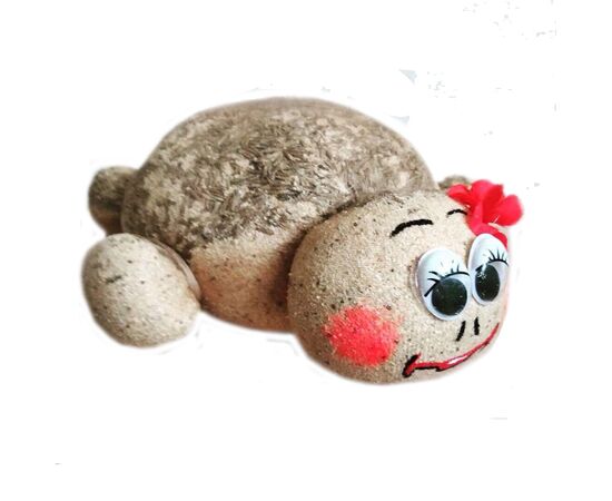 Кімнатна рослина "Травянчик" 15см, Модель: 0, зображення 3 | Доставка квітів Шарм24