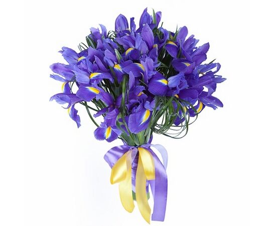 Ирис Hong Kong Decorum, Модель: 0, фото 3 | Доставка цветов Шарм24