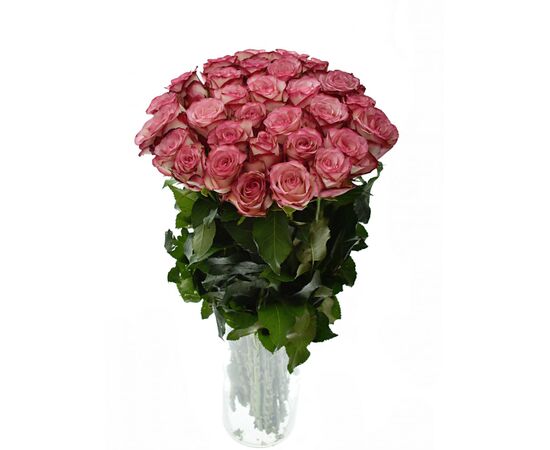 Роза Джумилия L6, Модель: 0, фото 3 | Доставка цветов Шарм24