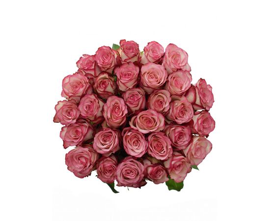 Троянда Джумілія L7, Модель: 0, зображення 4 | Доставка квітів Шарм24