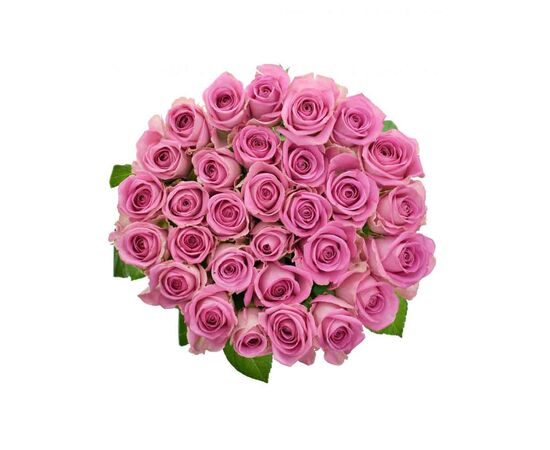 Троянда Аква L7, Модель: 0, зображення 4 | Доставка квітів Шарм24