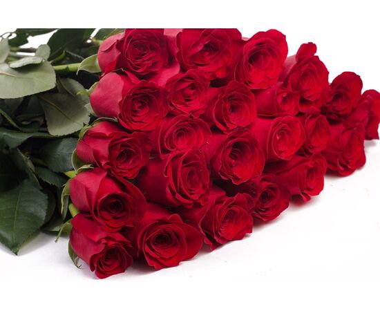 Роза Эквадор 70 см Freedom красная, Модель: 0, фото 2 | Доставка цветов Шарм24