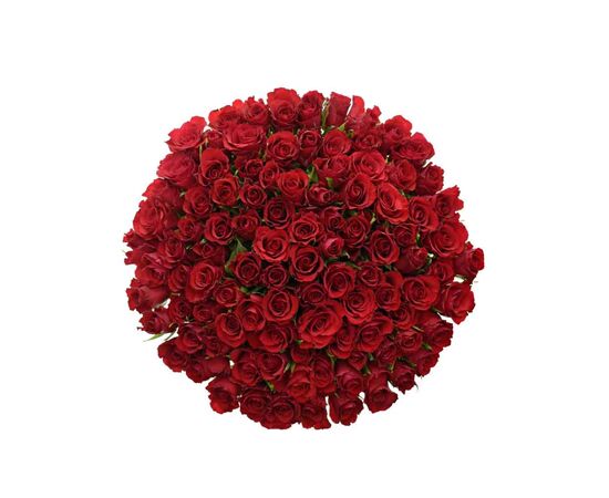 Роза Гран При L4, Модель: 0, фото 4 | Доставка цветов Шарм24 Роза Гран При L4, Модель: 0, фото 4 | Доставка цветов Шарм24