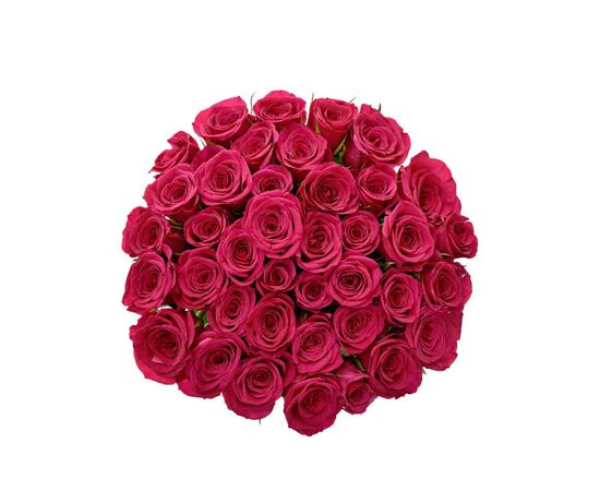 Троянда Шангрі-Ла L4, Модель: 0, зображення 4 | Доставка квітів Шарм24