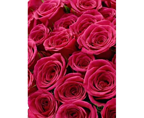 Троянда Шангрі Ла L8, Модель: 0, зображення 5 | Доставка квітів Шарм24