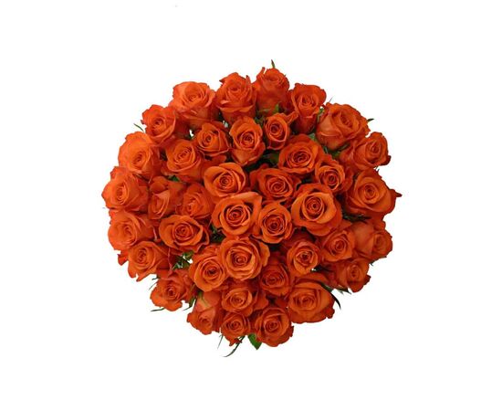 Троянда Вау L6, Модель: 0, зображення 4 | Доставка квітів Шарм24