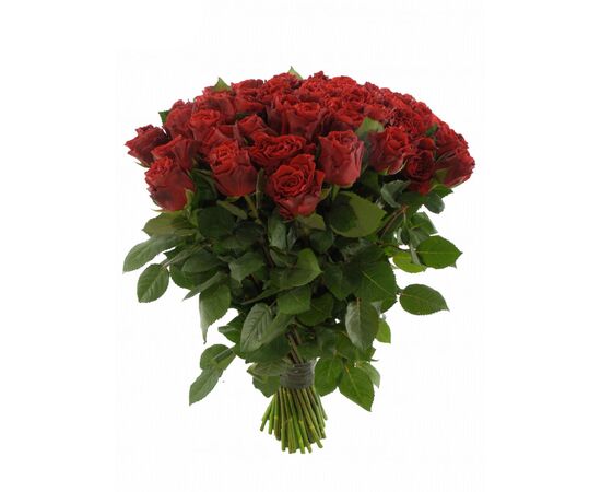 Роза Эль Торо L5, Модель: 0, зображення 3 | Доставка квітів Шарм24