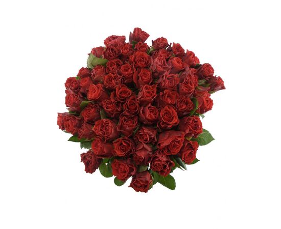 Роза Эль Торо L5, Модель: 0, зображення 4 | Доставка квітів Шарм24