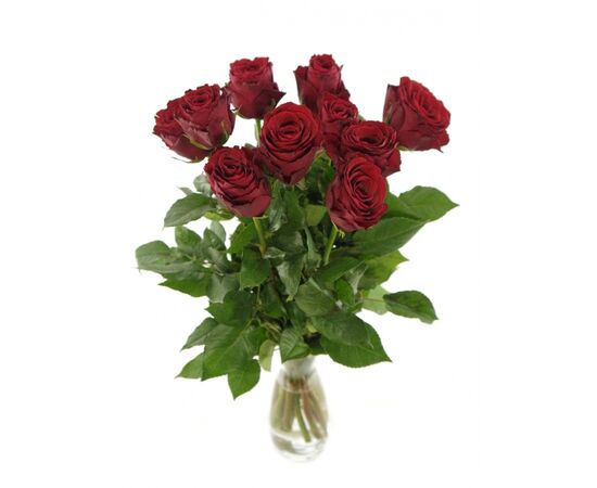 Роза Gr Madam Red L60, Модель: 0, фото 3 | Доставка цветов Шарм24