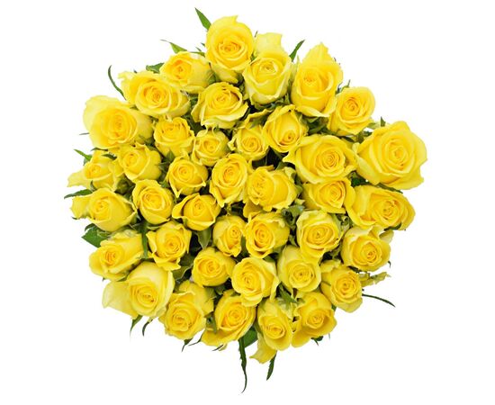 Роза Gr Moonwalk L70, Модель: 0, фото 4 | Доставка цветов Шарм24