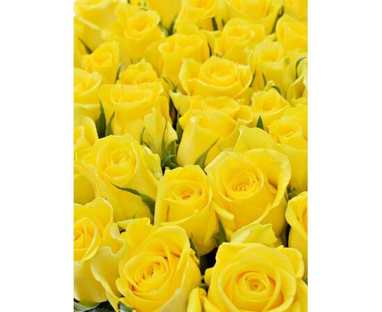 Роза Gr Moonwalk L70, Модель: 0, фото 5 | Доставка цветов Шарм24