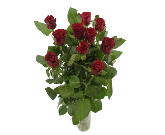 Роза Gr Red Ribbon L40, Модель: 0, фото 3 | Доставка цветов Шарм24