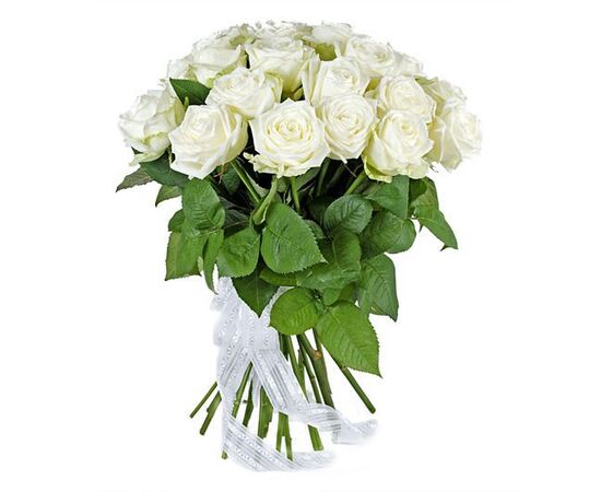 Роза Эквадор 50 см Playa Blanka белая, Модель: 0, фото 2 | Доставка цветов Шарм24