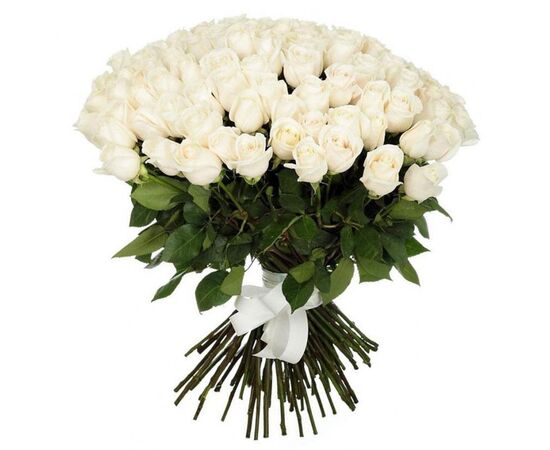 Троянда Еквадор 70 см Proud біла, Модель: 0, зображення 2 | Доставка квітів Шарм24