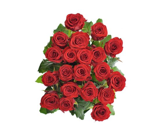 Троянда РЕД ІГЛ 70 см, Модель: 0, зображення 4 | Доставка квітів Шарм24