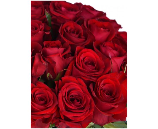 Троянда РЕД ІГЛ 70 см, Модель: 0, зображення 5 | Доставка квітів Шарм24