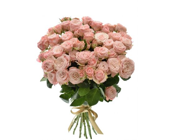 Троянда Спрей Бомбастік L4, Модель: 0, зображення 3 | Доставка квітів Шарм24