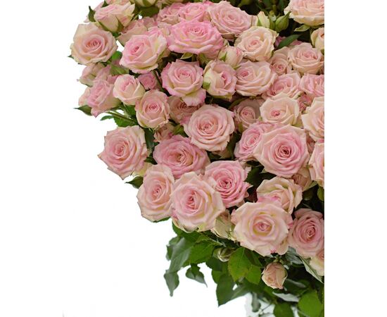 Троянда Спрей Бомбастік L4, Модель: 0, зображення 5 | Доставка квітів Шарм24