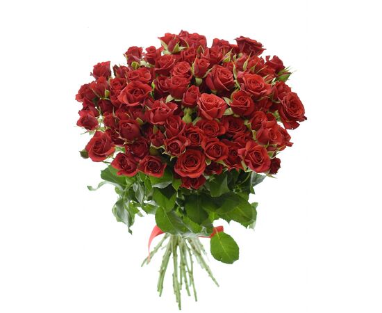 Троянда Спрей Мірабель L55, Модель: 0, зображення 2 | Доставка квітів Шарм24