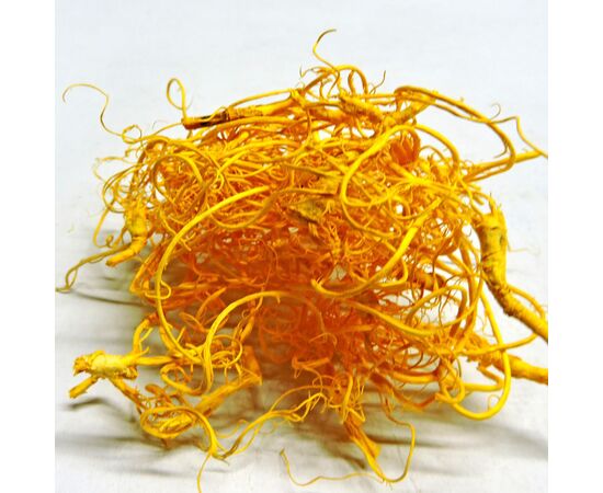 Мох кучерявый желтый 50гр, Модель: 0, фото 2 | Доставка цветов Шарм24