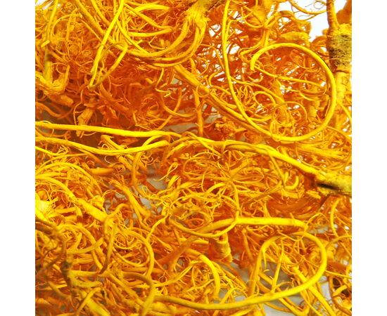 Мох кучерявый желтый 50гр, Модель: 0, фото 5 | Доставка цветов Шарм24