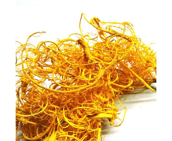 Мох кучерявый желтый 50гр, Модель: 0, фото 6 | Доставка цветов Шарм24