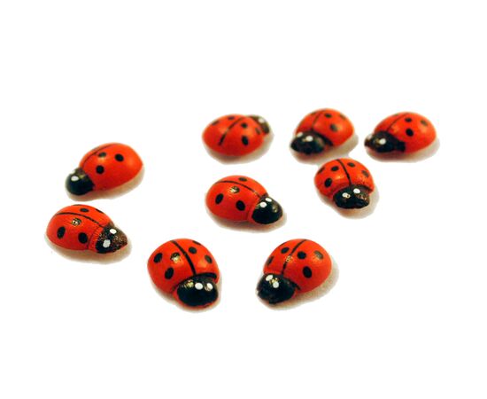 Наклейка "Божья Коровка", Модель: 0, фото 2 | Доставка цветов Шарм24