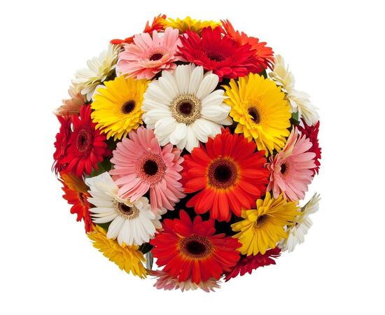 Гербера Box Florein L45***, Модель: 0, фото 2 | Доставка цветов Шарм24