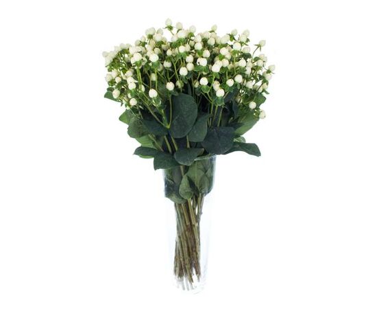 Гиперикум Coco Uno White, Модель: 0, фото 2 | Доставка цветов Шарм24