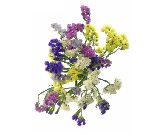 Статитця мікс, Модель: 0, зображення 2 | Доставка квітів Шарм24