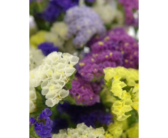 Статитця мікс, Модель: 0, зображення 3 | Доставка квітів Шарм24