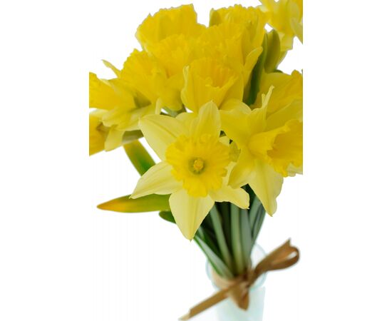 Нарцис Mix L50, Модель: 0, зображення 4 | Доставка квітів Шарм24