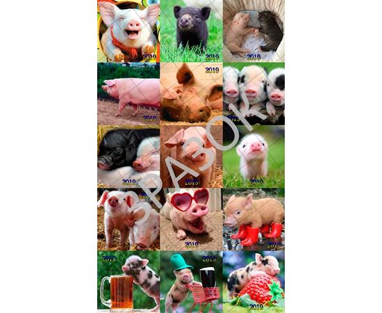 Магнит 2019, Модель: 0, зображення 2 | Доставка квітів Шарм24