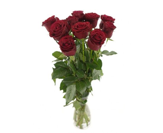 Троянда Престиж L8, Модель: 0, зображення 3 | Доставка квітів Шарм24