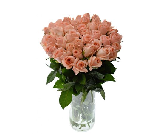 Троянда Анна Карина L8, Модель: 0, зображення 3 | Доставка квітів Шарм24