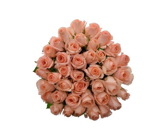 Троянда Анна Карина L8, Модель: 0, зображення 4 | Доставка квітів Шарм24